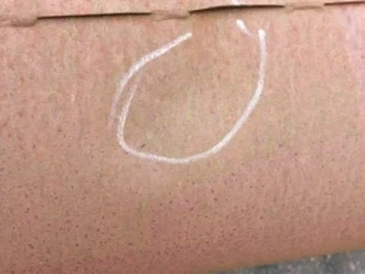 Billede 26 - Massey Ferguson 7280 Tømmerør 6.0M D28887264