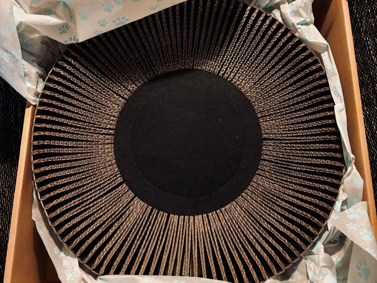 Billede 6 - Kat Lounge