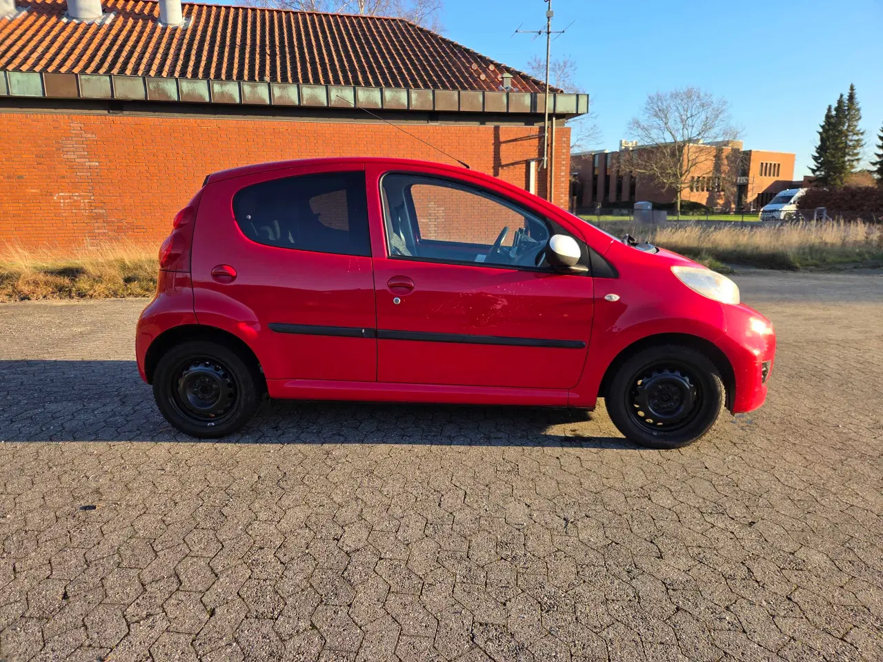 Billede 16 - ØKOGRIS MED PLADER OG NYSYNET 