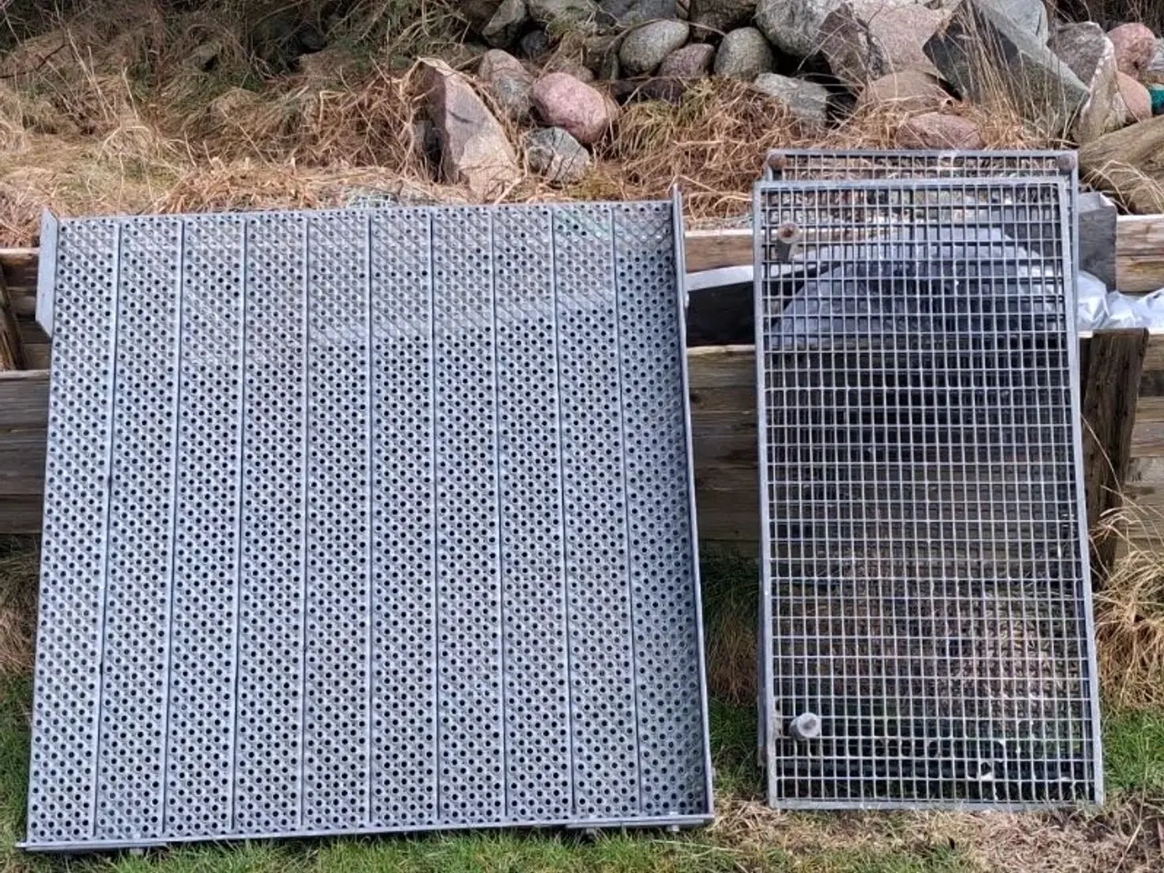 Billede 1 - Elefant riste