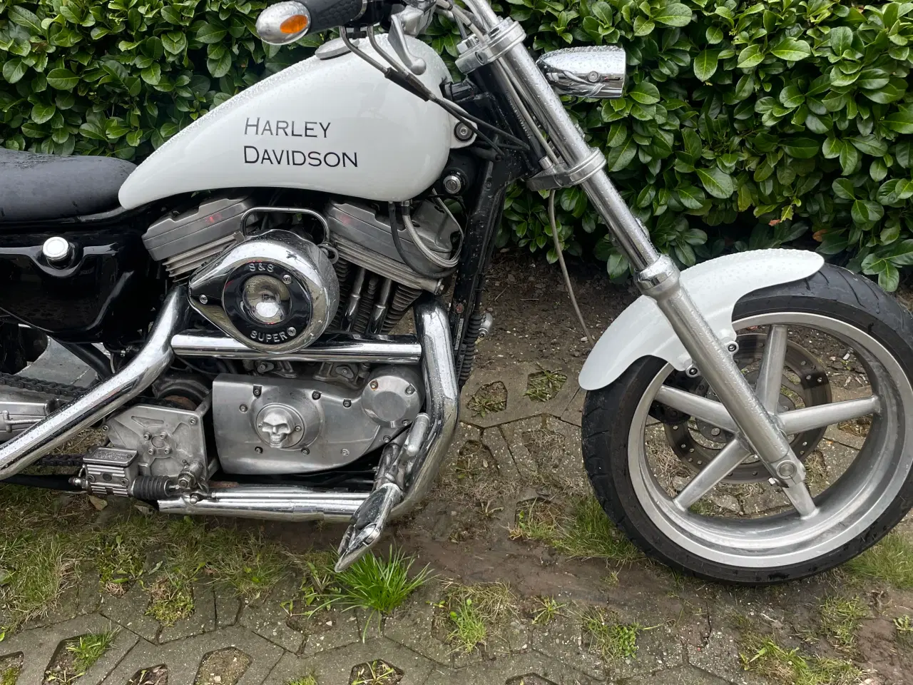 Billede 6 - Harley-Davidson XL883C Sportster Custom, 883 ccm, 