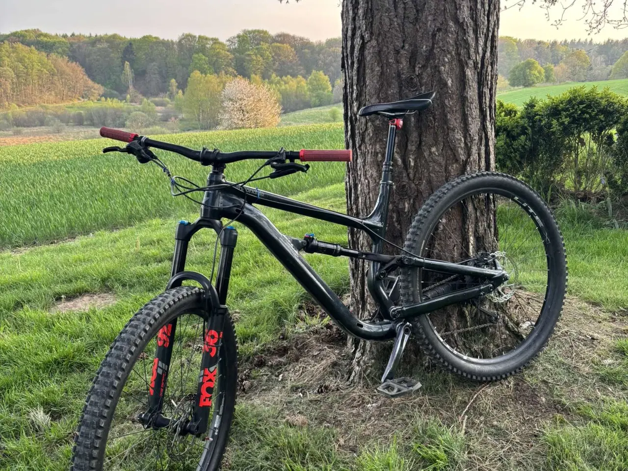Billede 2 - Cannondale Mountainbike 