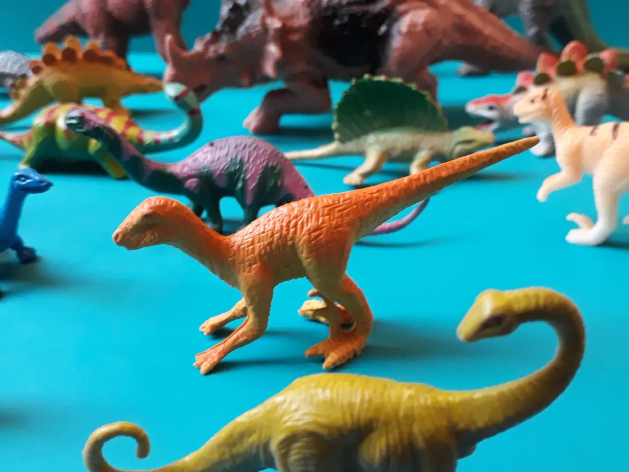 Billede 5 - 26 Dinosaurer Figurer