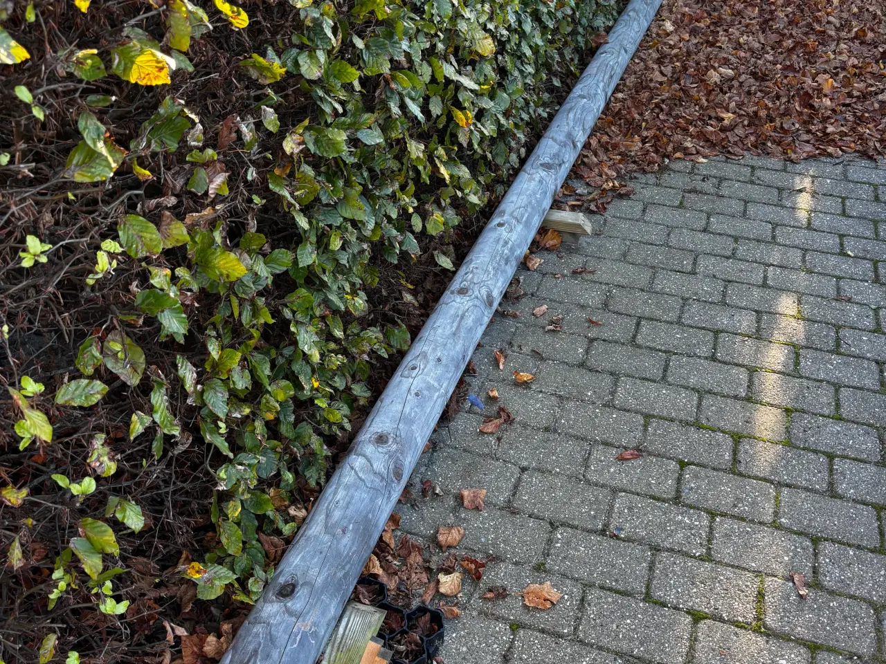 Billede 1 - Stople i lærketræ, 5 meter lang og 14 cm i diamete