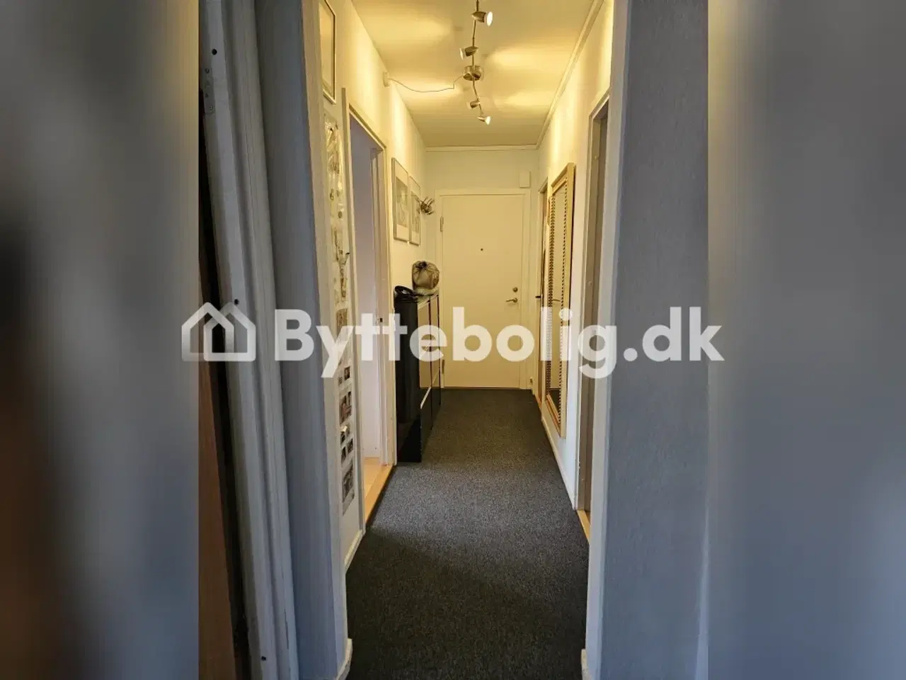 Billede 5 - SØGER LEJLIGHED I MÅLØV