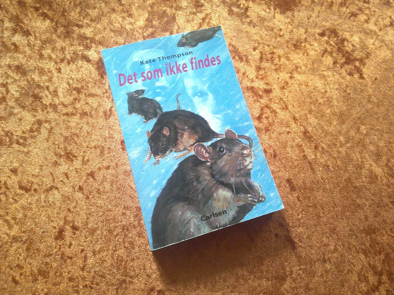 Billede 1 - Det som ikke findes, Kate Thompson