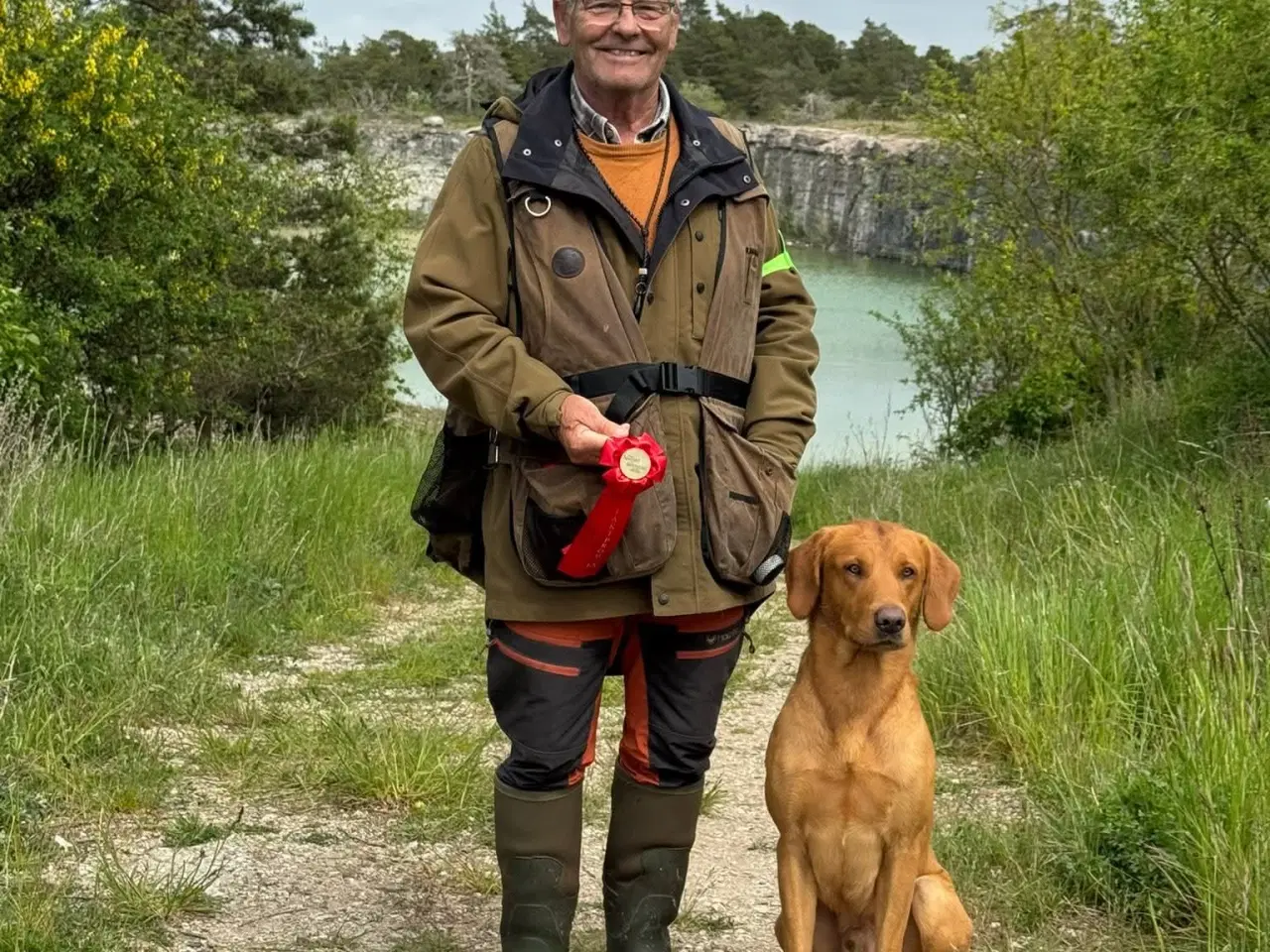 Billede 12 - Labrador retriver foxred