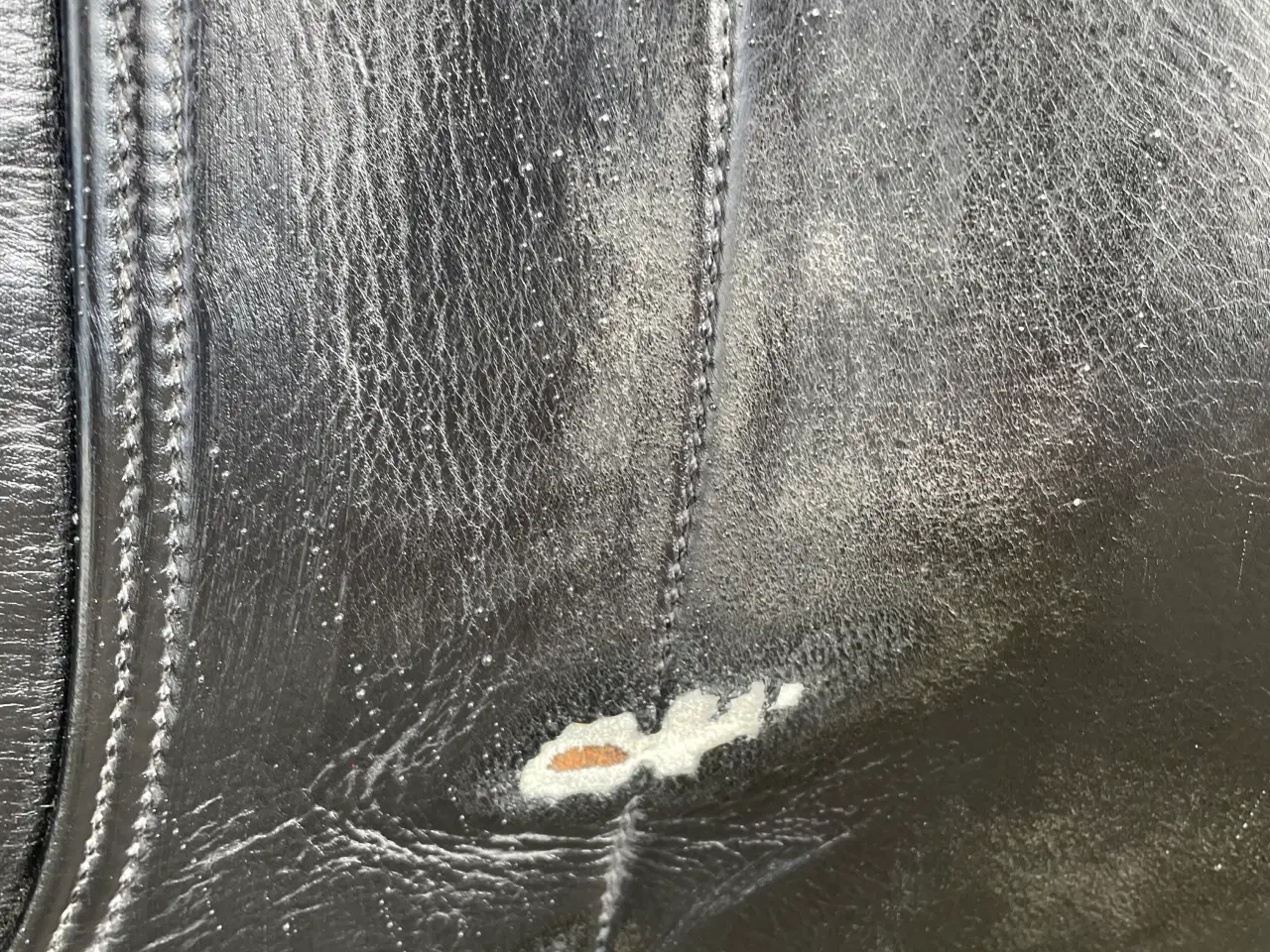 Billede 6 - Sort dressur sadel 16”