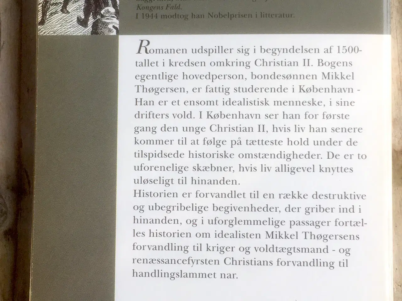 Billede 2 - Kongens Fald, Johannes V. Jensen, genre: historie