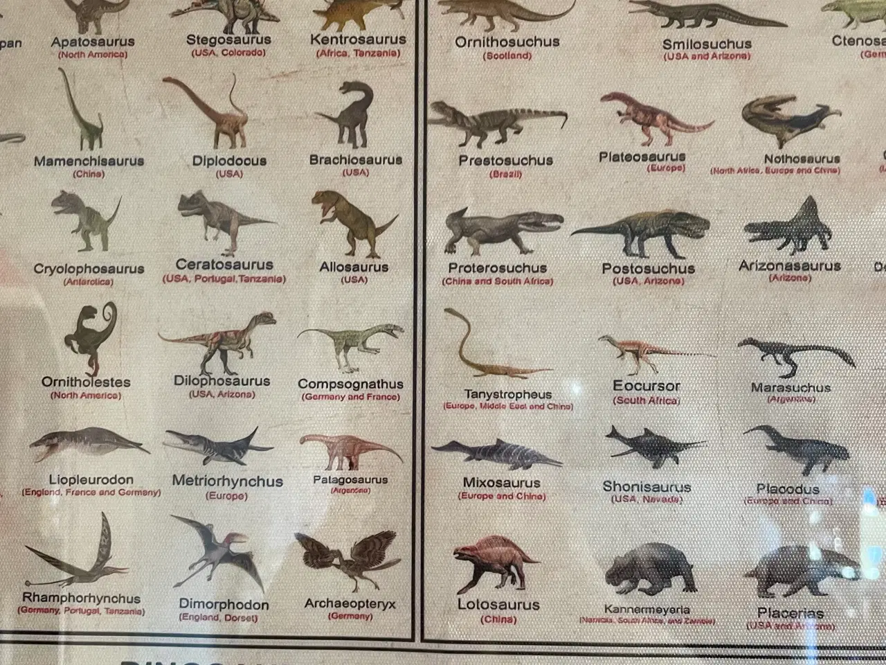 Billede 3 - Dinosaur plakat indrammet