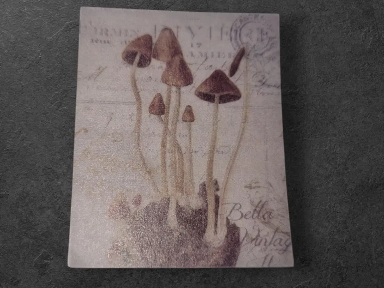 Billede 1 - Vintage svampeillustration på elegant papirark