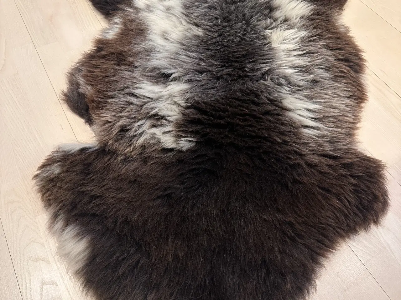 Billede 4 - Helt nyt lammeskind