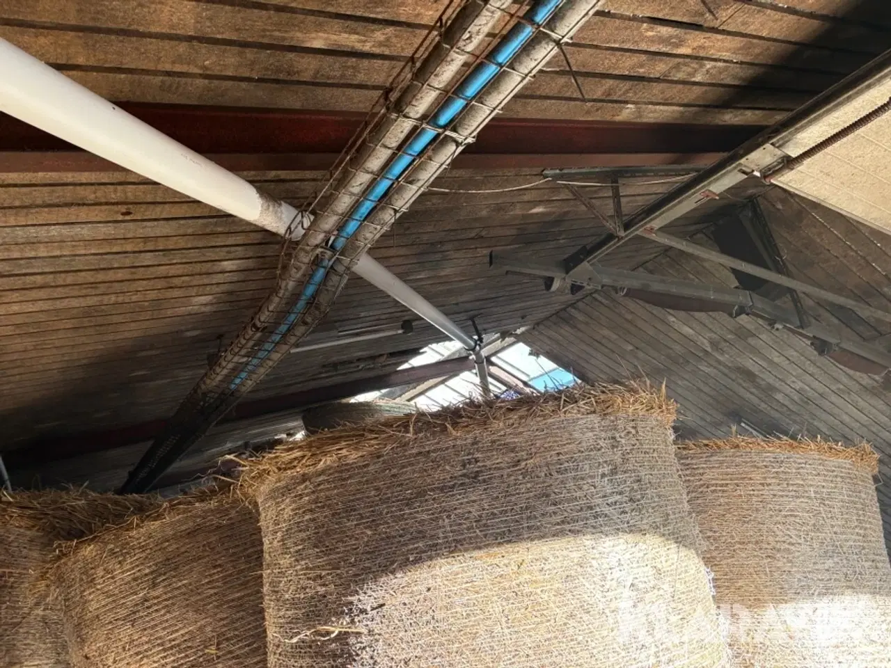 Billede 3 - Fodersnegl