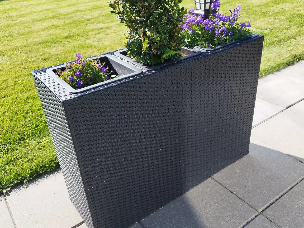 Billede 2 - Plantekasser med 3 rum, Rattan