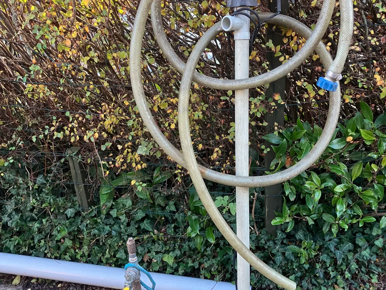 Billede 1 - 2 stk vand suger sælges