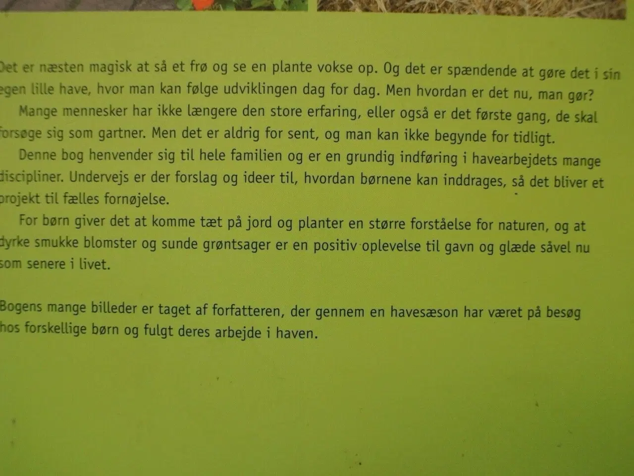 Billede 3 - børnenes have, Af claus dalby, emne: hus og have