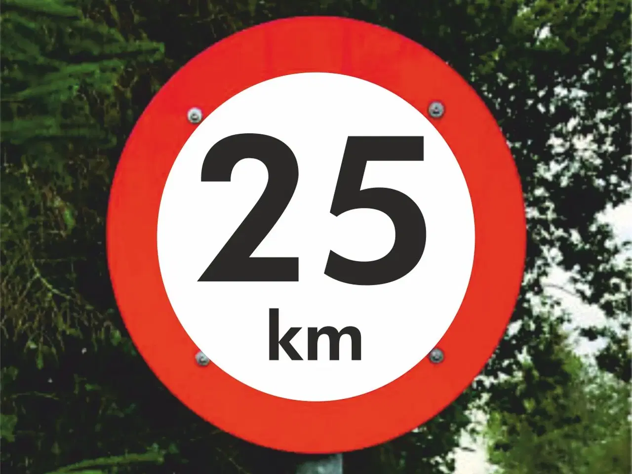 Billede 13 - Skilt 20 km