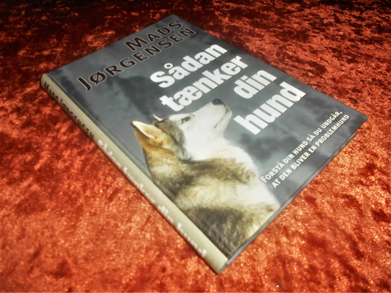 Billede 1 - Sådan tænker din hund, Mads Jørgensen
