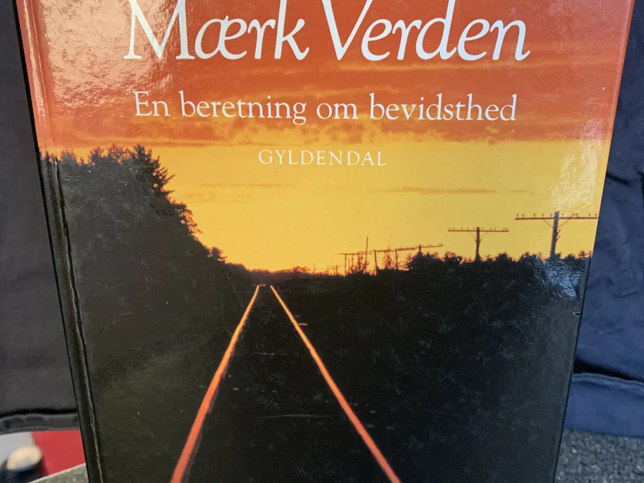 Billede 1 - Bog: Mærk verden