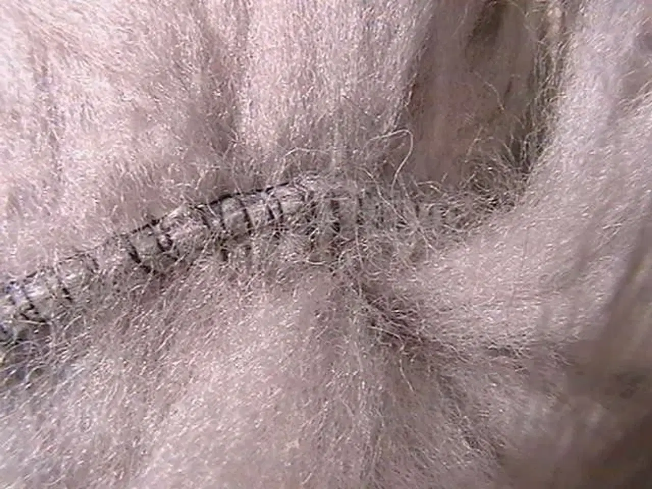 Billede 4 - 1 Pels "slange" til halsen