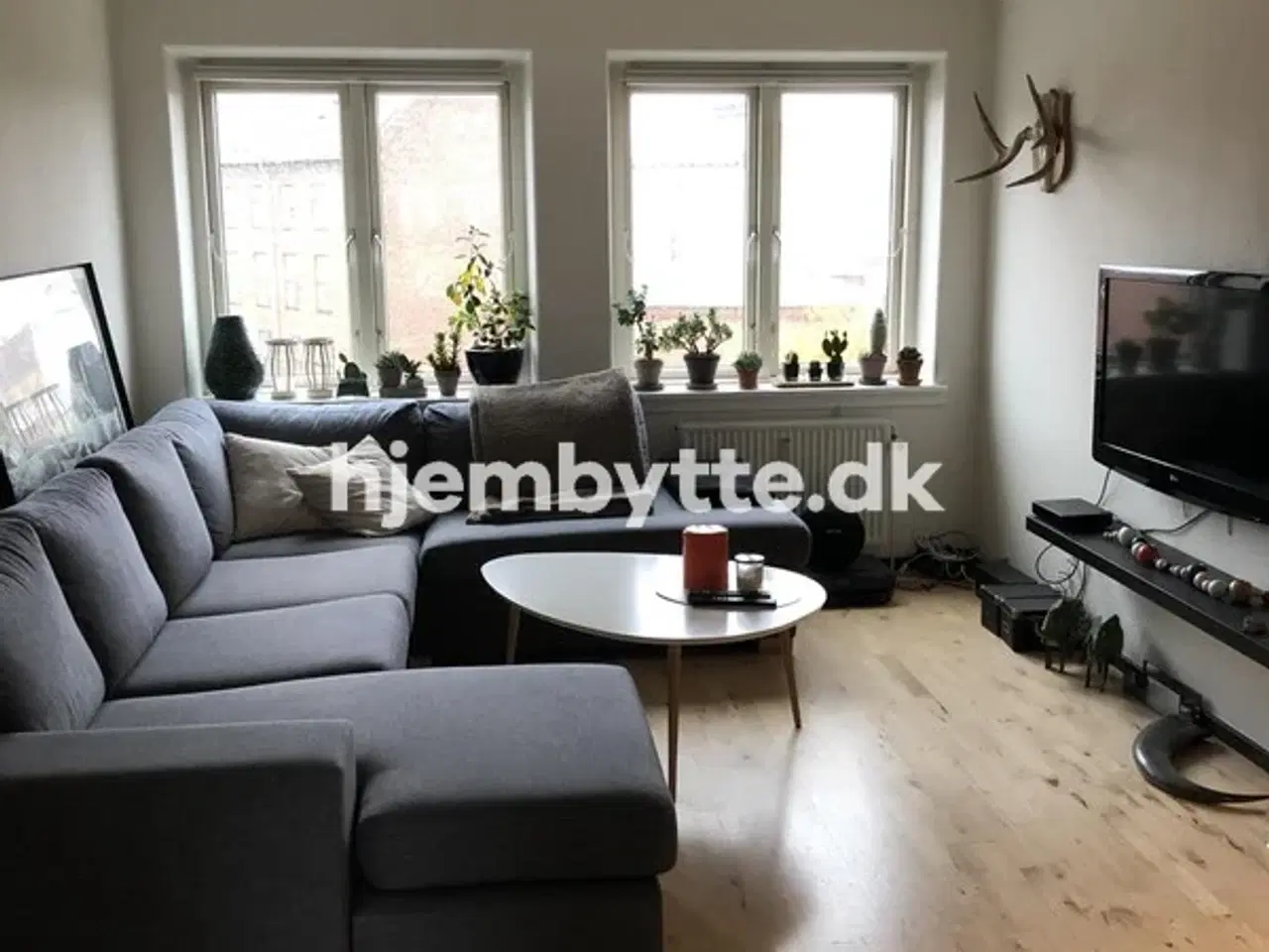 Billede 2 - Hjembytte - Jagtvej