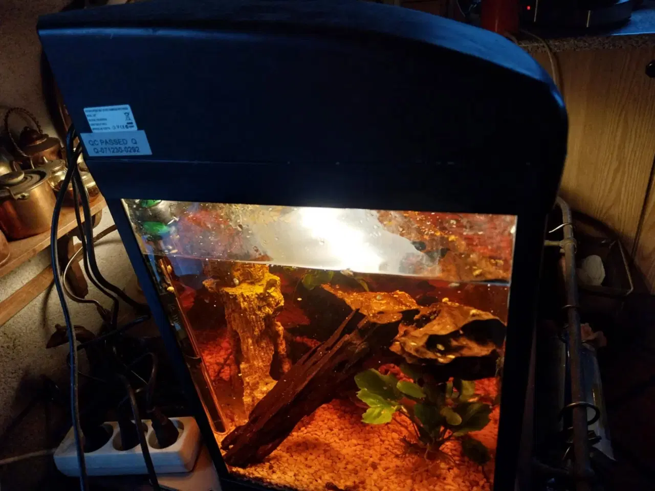 Billede 4 - Akvarie med fisk og tilbehør 