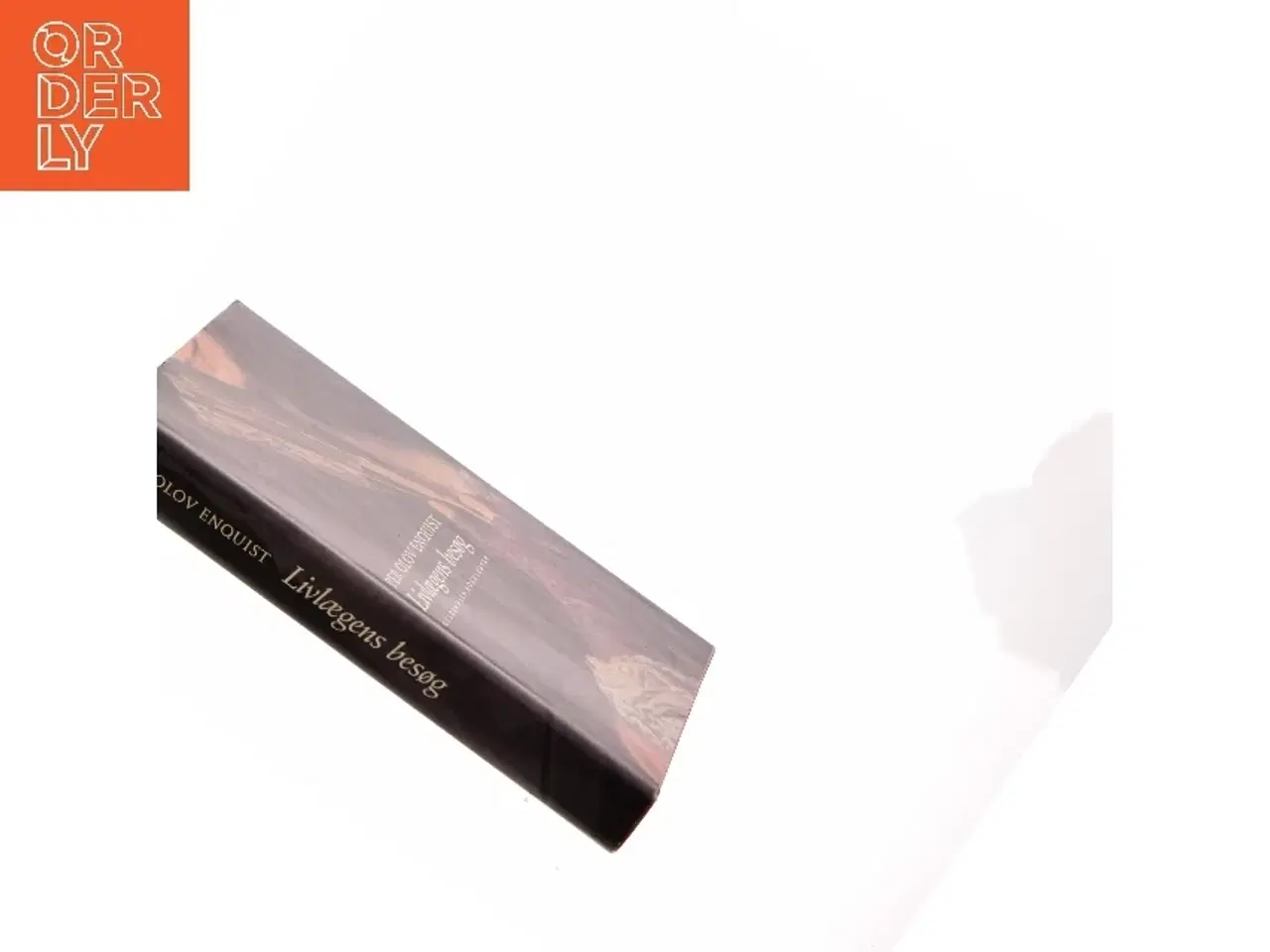 Billede 2 - Livlægens besøg : roman af Per Olov Enquist (Bog)