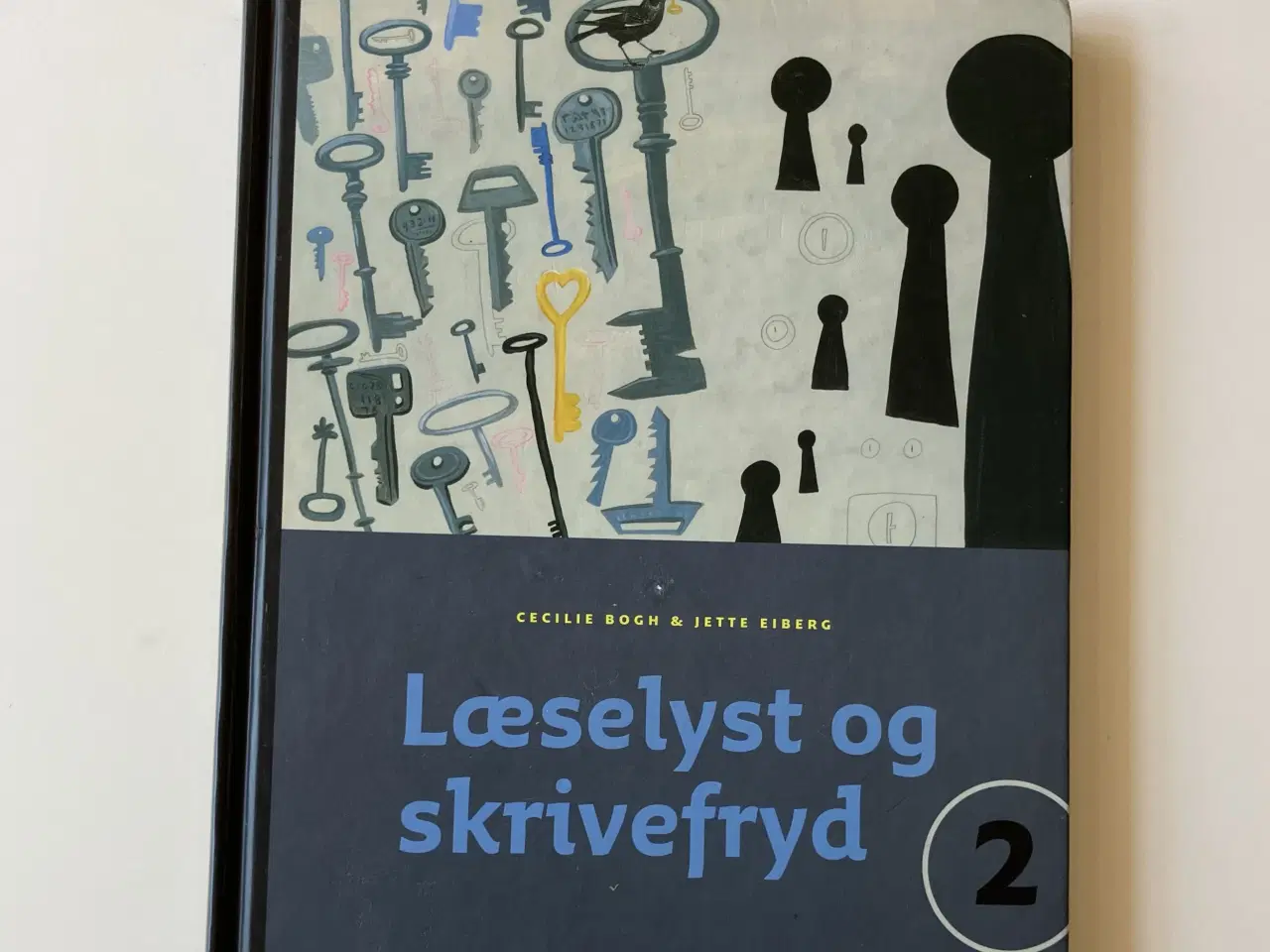 Billede 1 - Læselyst og skrivefryd. Bind 2. Af  Cecilie Bogh, 