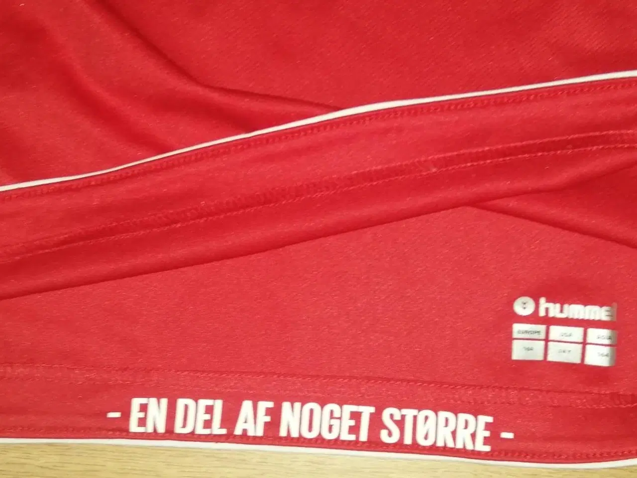 Billede 3 - DANMARK HOME 2018/19, STR. 14 ÅR, I FLOT STAND