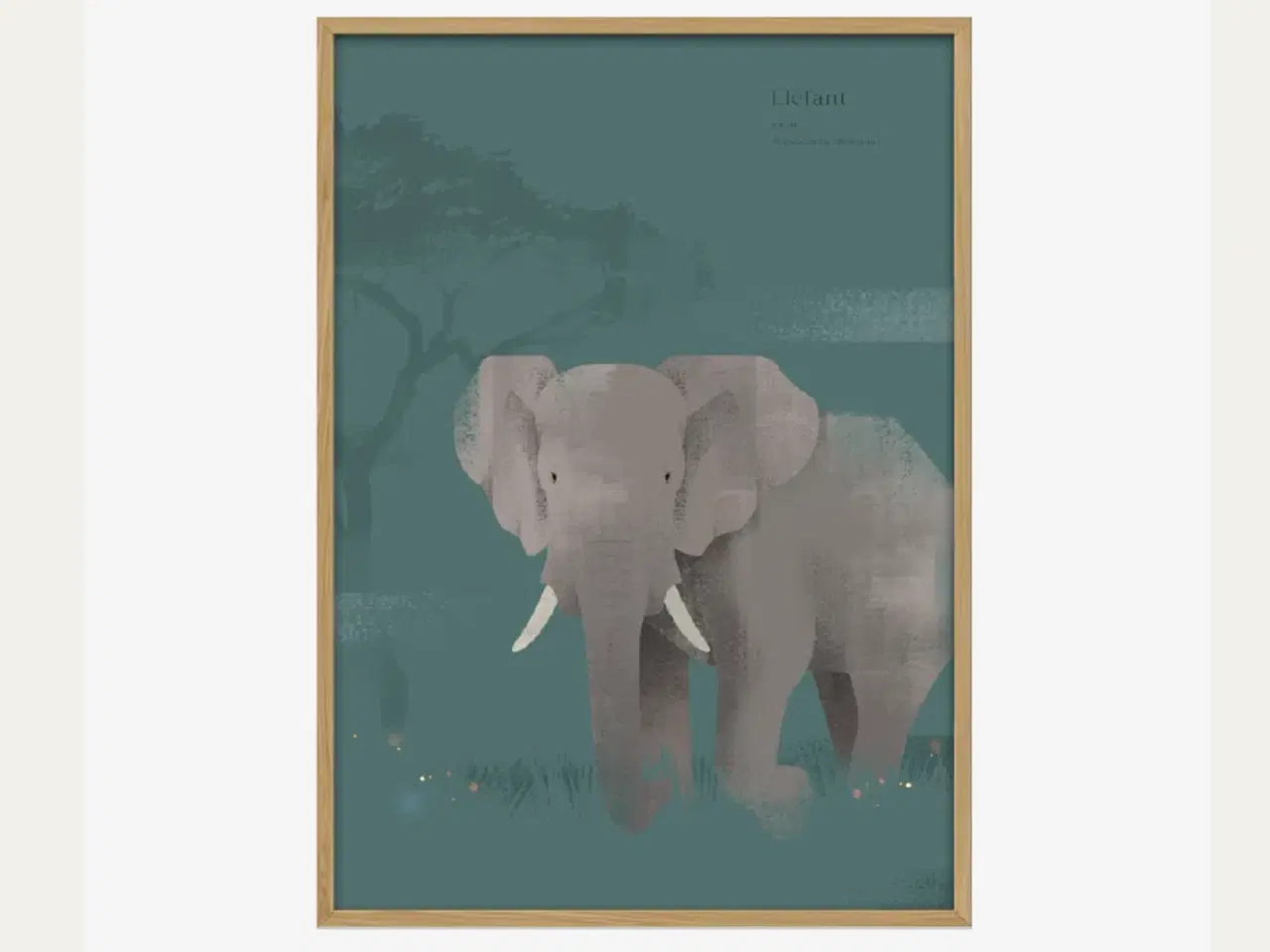 Billede 1 - Design plakat Elefant