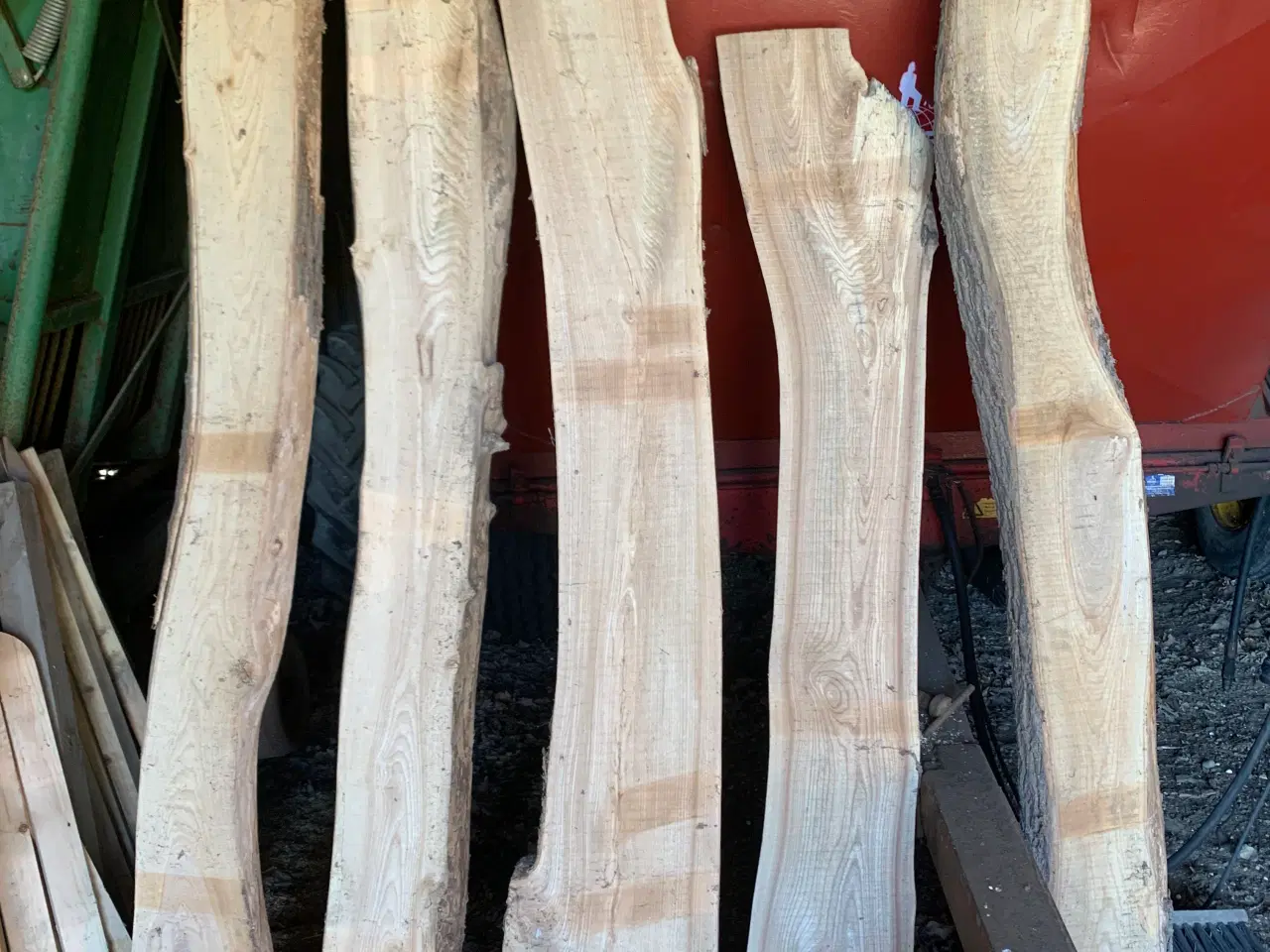 Billede 2 - Planker i elmetræ