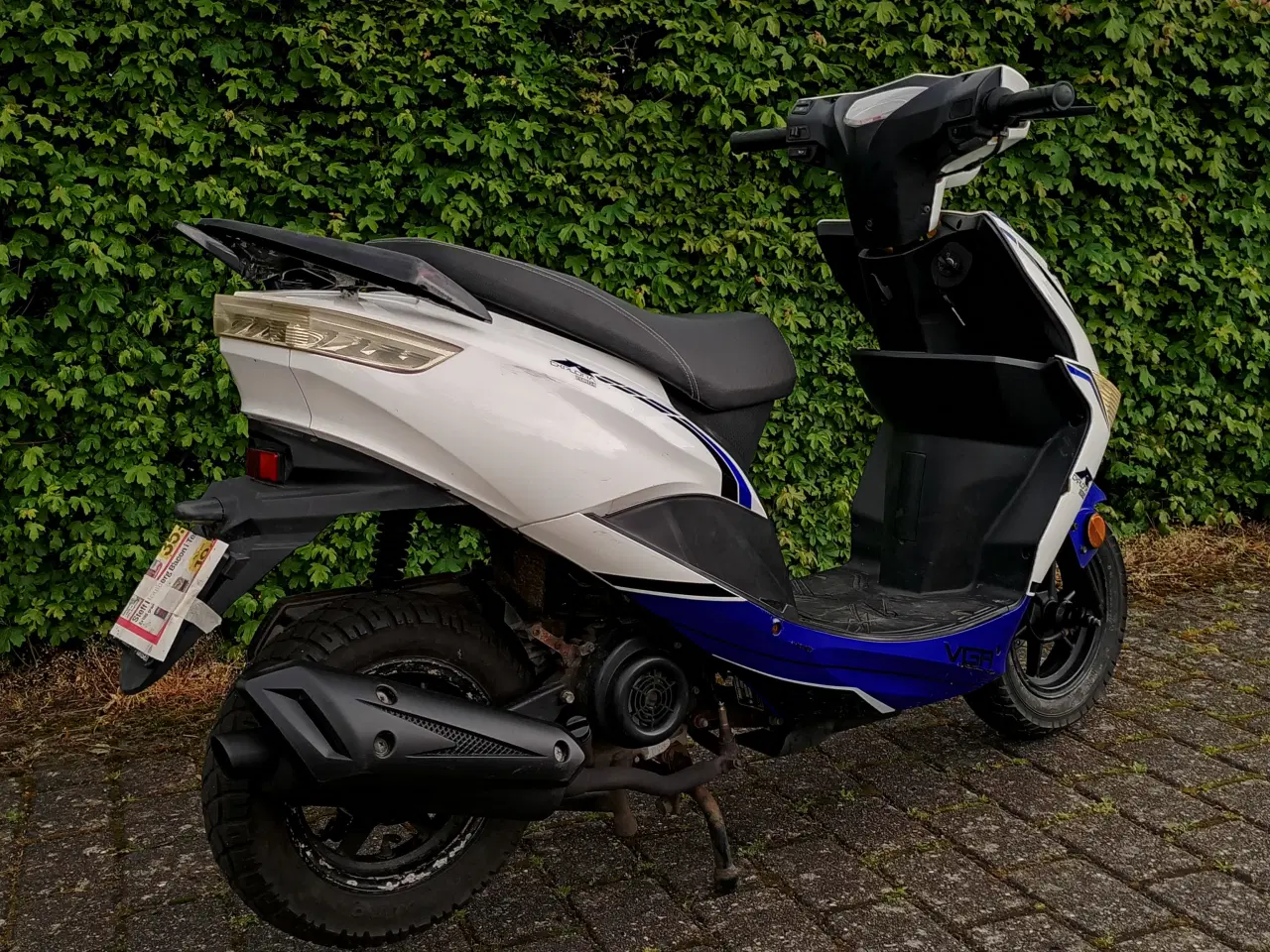 Billede 6 - VGA Explora 30 m/nr.plade