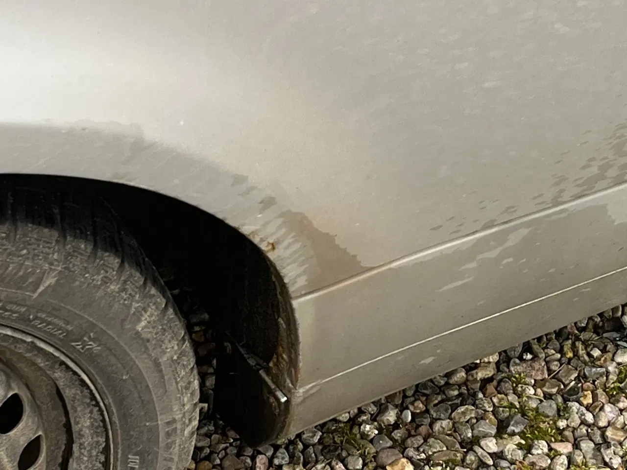 Billede 7 - Gammel Lupo 