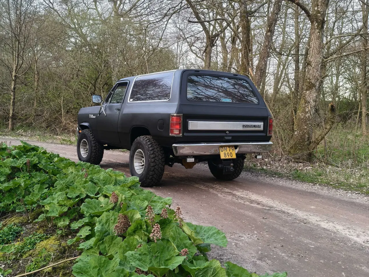 Billede 3 - Dodge Ramcharger 