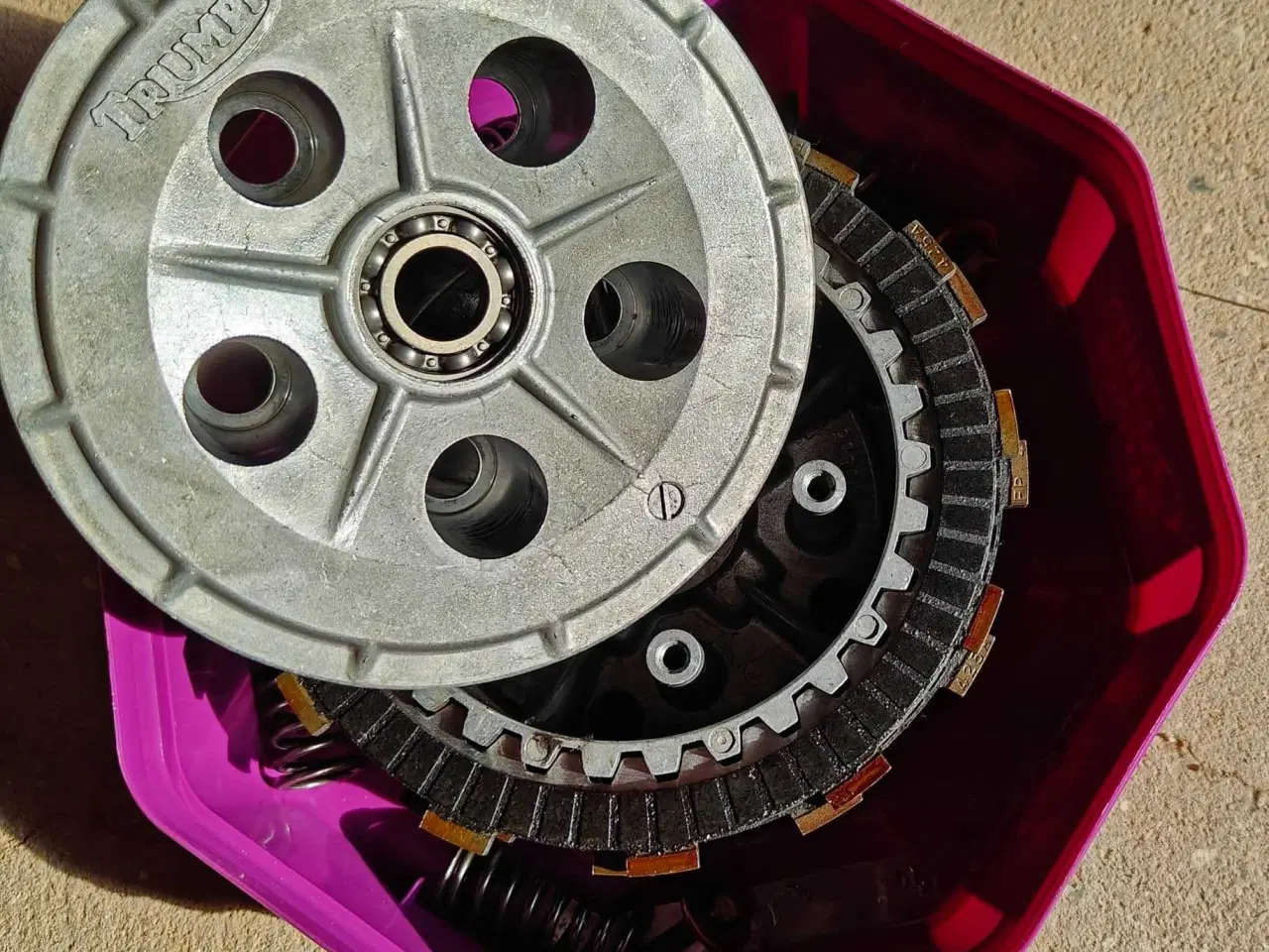 Billede 2 - JULEGAVEN TIL DIN TRIUMPH 🎁🎄🎅