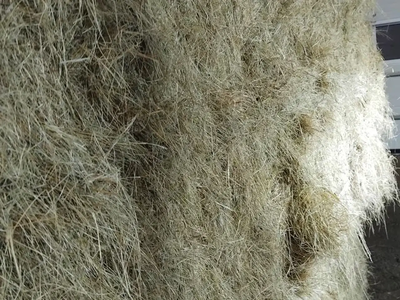 Billede 1 - God hø sælges