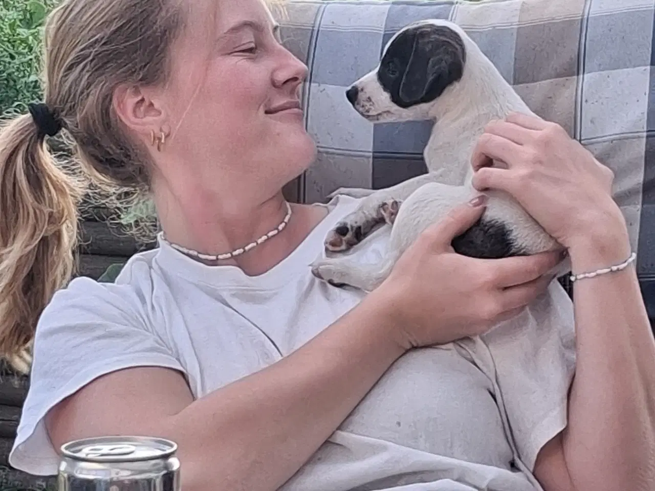 Billede 4 - Skønneste d/s gårdhund hvalp 