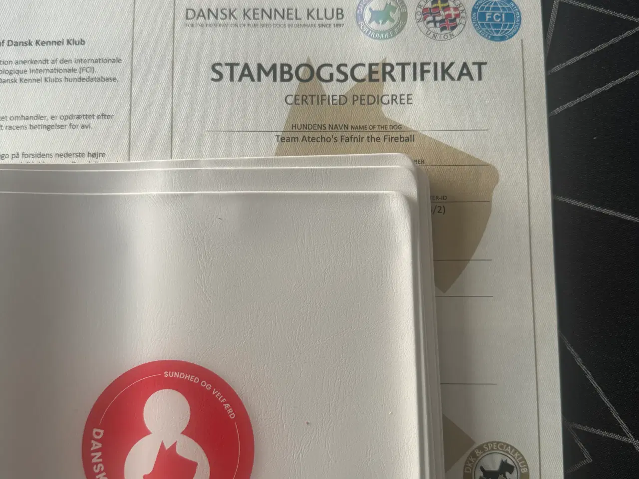 Billede 14 - Volpino Italiano hvalpe