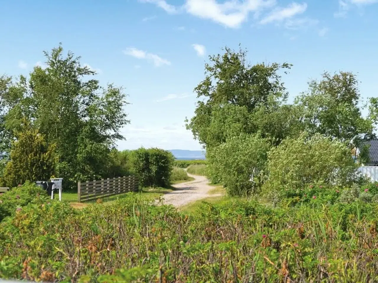 Billede 16 - Sommerhus der sænker pulsen