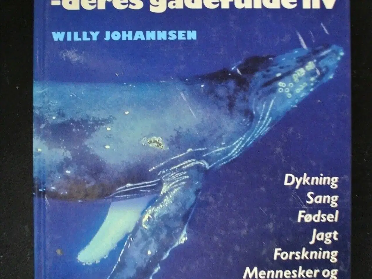 Billede 1 - hvalernes verden - deres gådefulde liv, af willy j