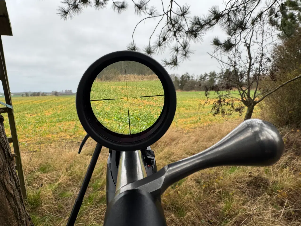 Billede 1 - Zeiss V6 2.5-15x56