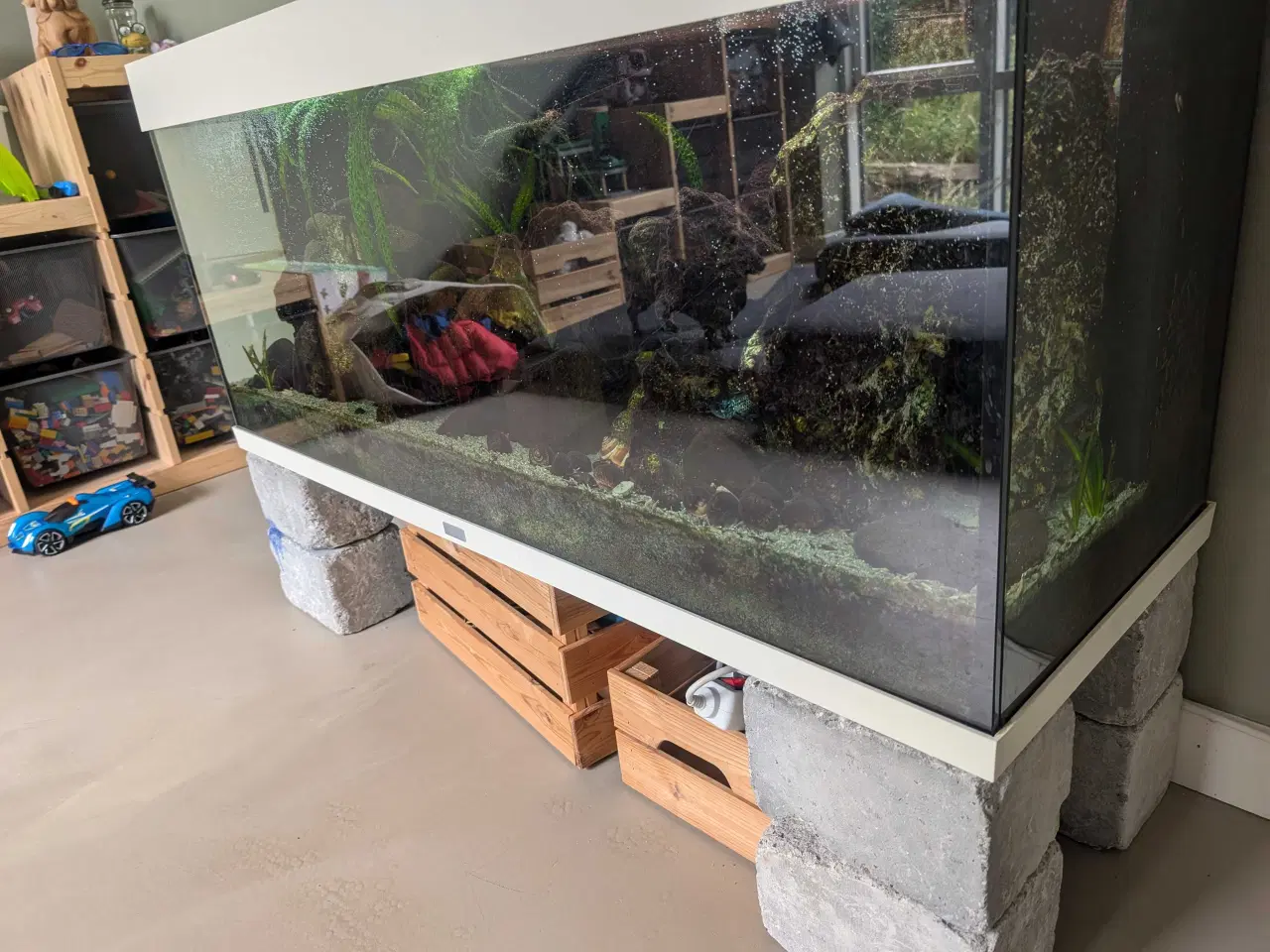 Billede 3 - 240l Juwel Rio akvarie
