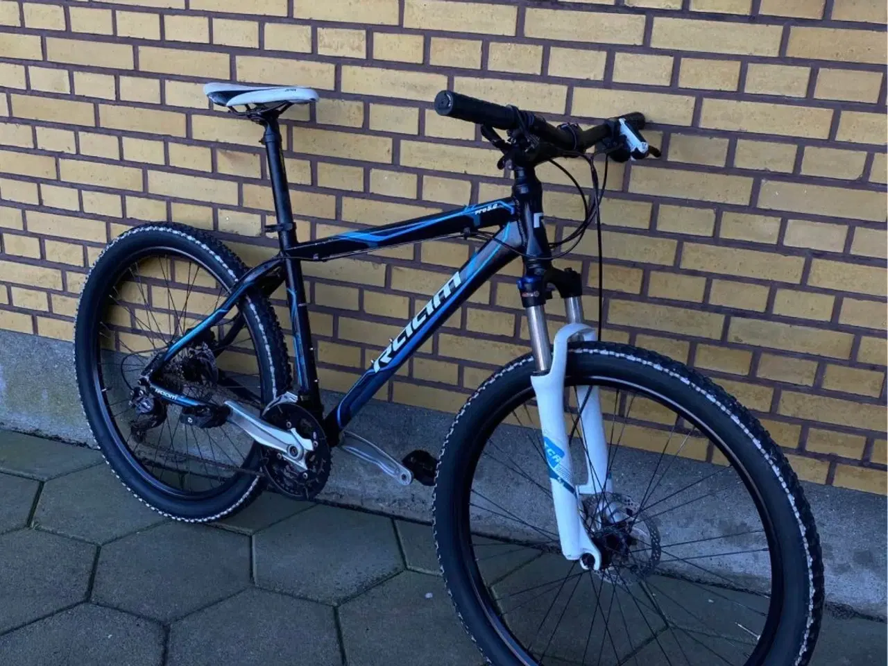 Billede 8 - Mountainbike RAAM