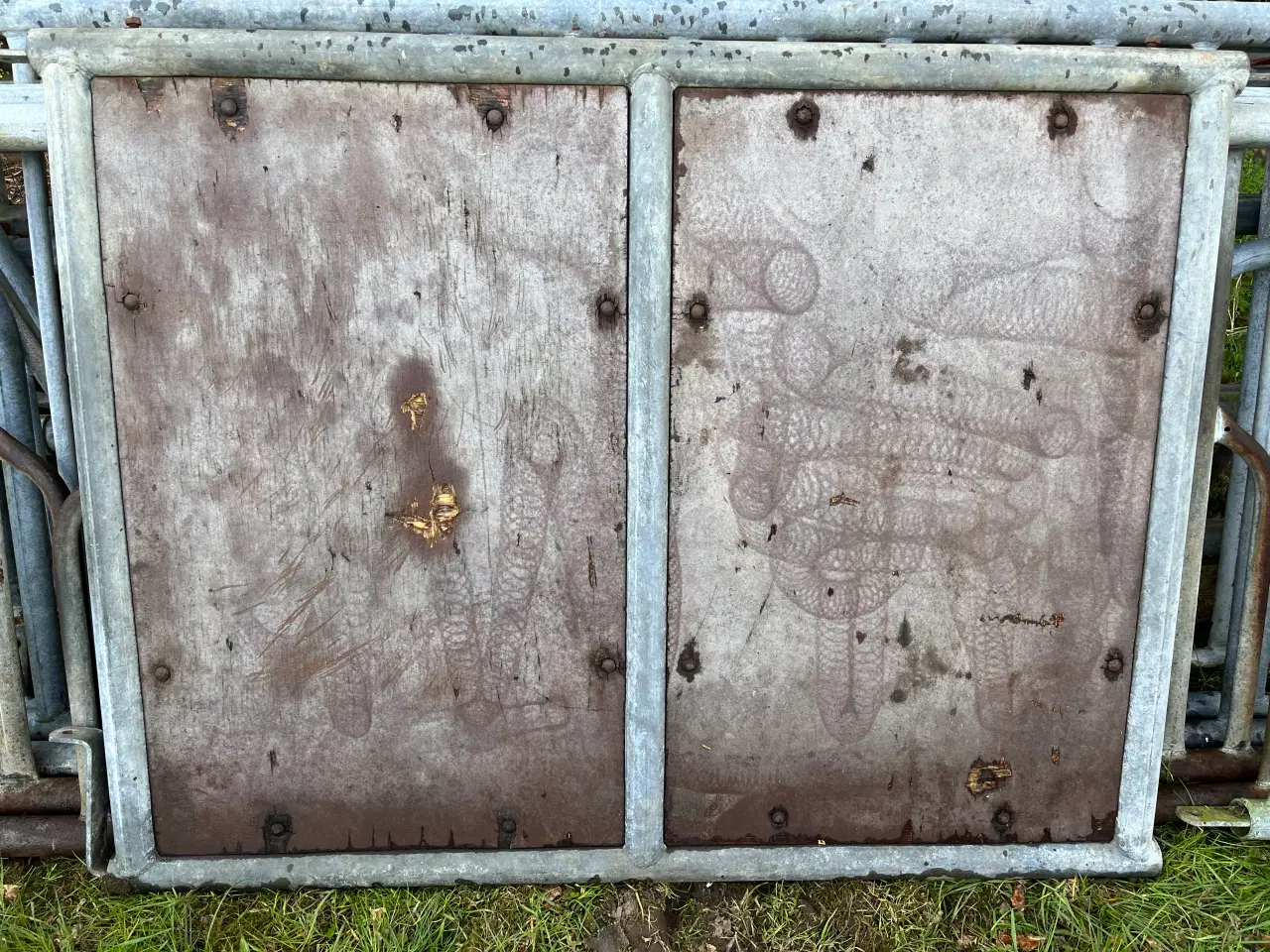 Billede 6 - Dan Egtved kvæginventar