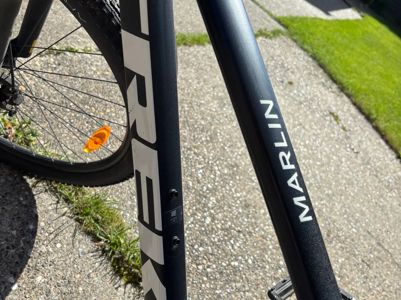 Billede 3 - Trek Marlin gen 2 matsort str. M