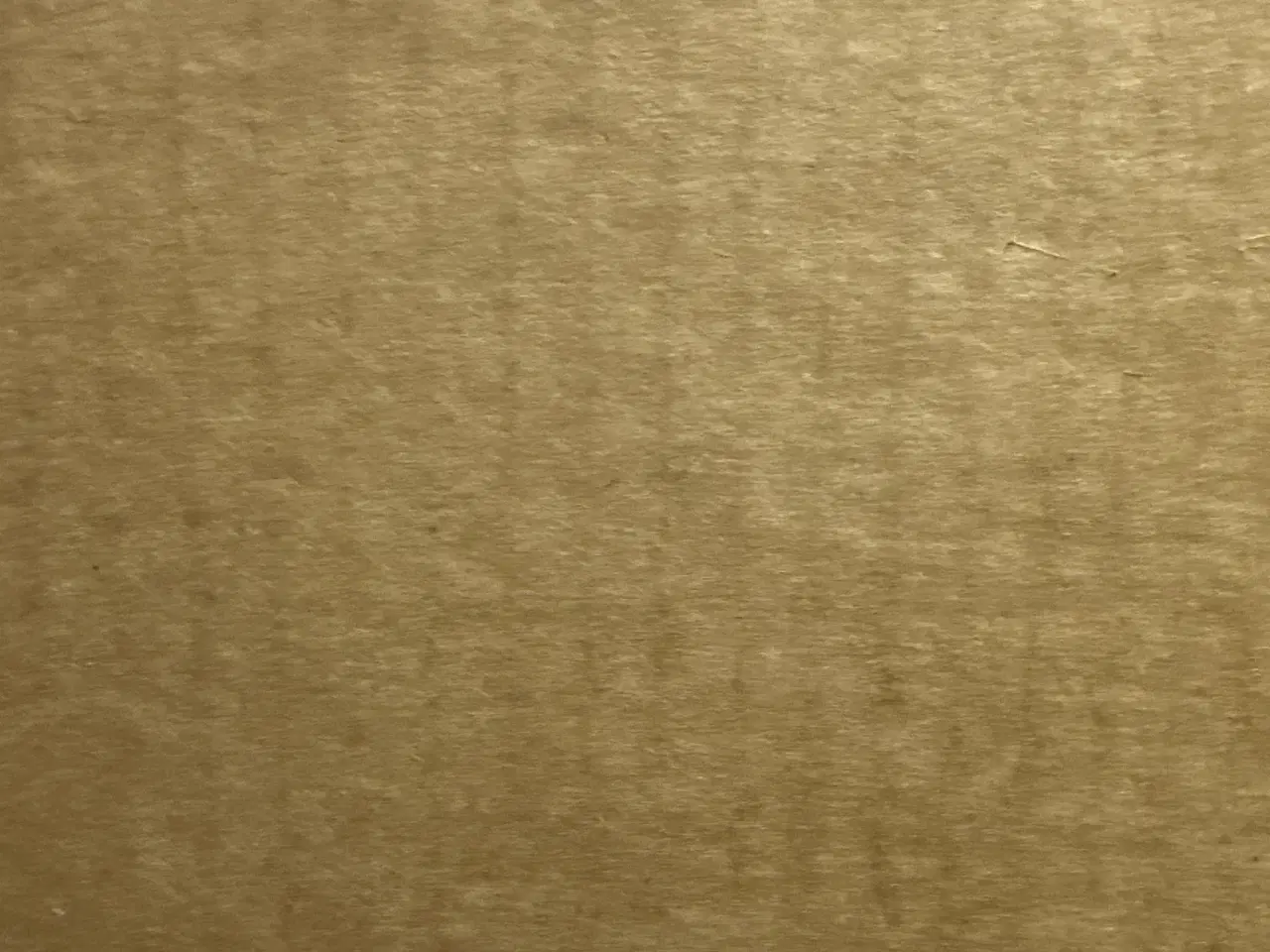 Billede 1 - Patera oval pendel 500