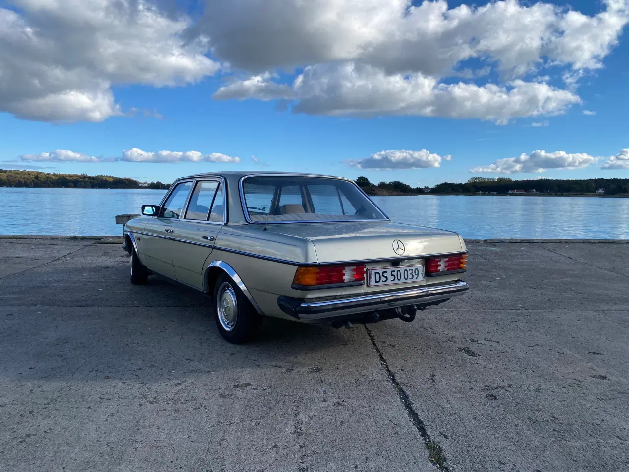 Billede 4 - Mercedes Benz W123 230E