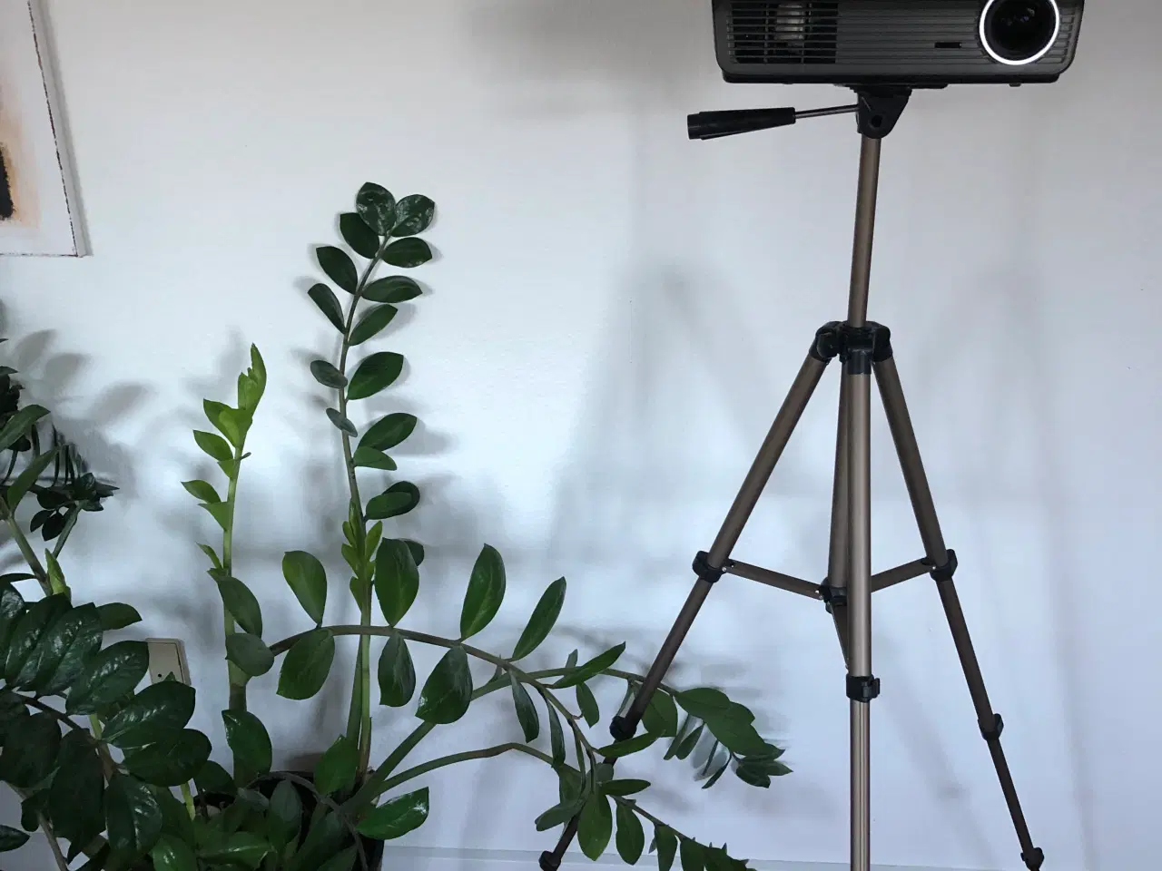 Billede 1 - Projektor/lærred