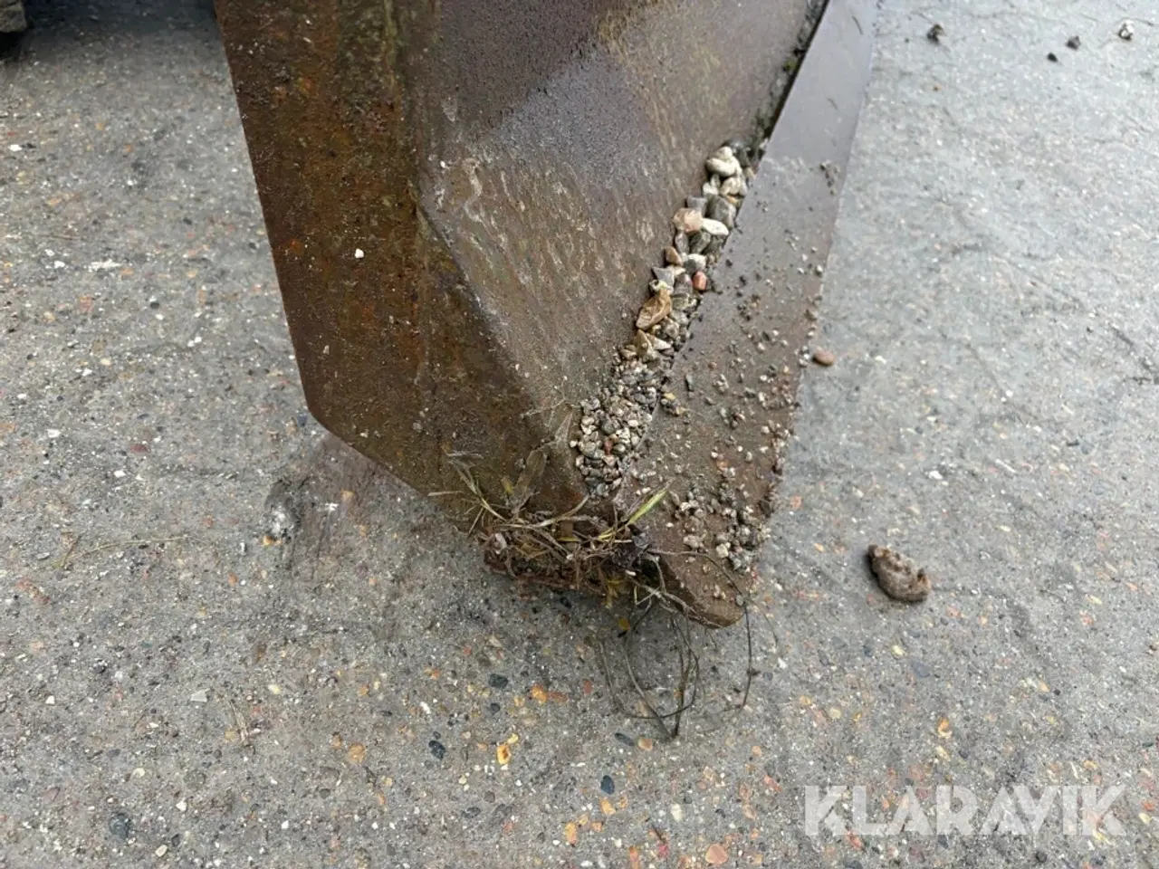 Billede 12 - Dåseblad