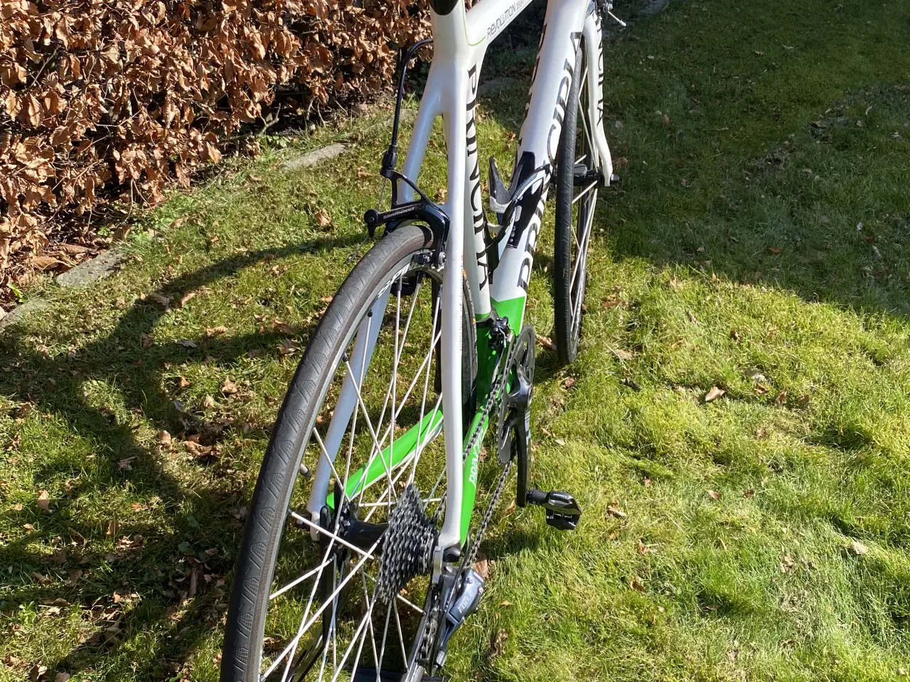 Billede 5 - Principia Revolution Team C40T SRAM RED Carbon